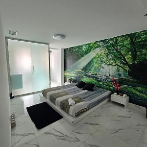 Kamer met een King Size Bed met de Toegang voor Gehandicapten